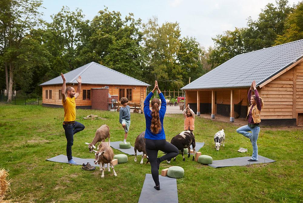 Nature Experience op Center Parcs Het Meerdal