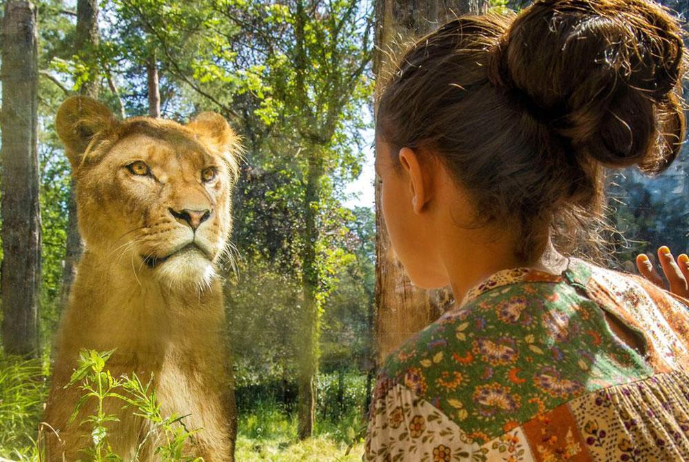 DierenPark Amersfoort, Amersfoort bezienswaardigheden
