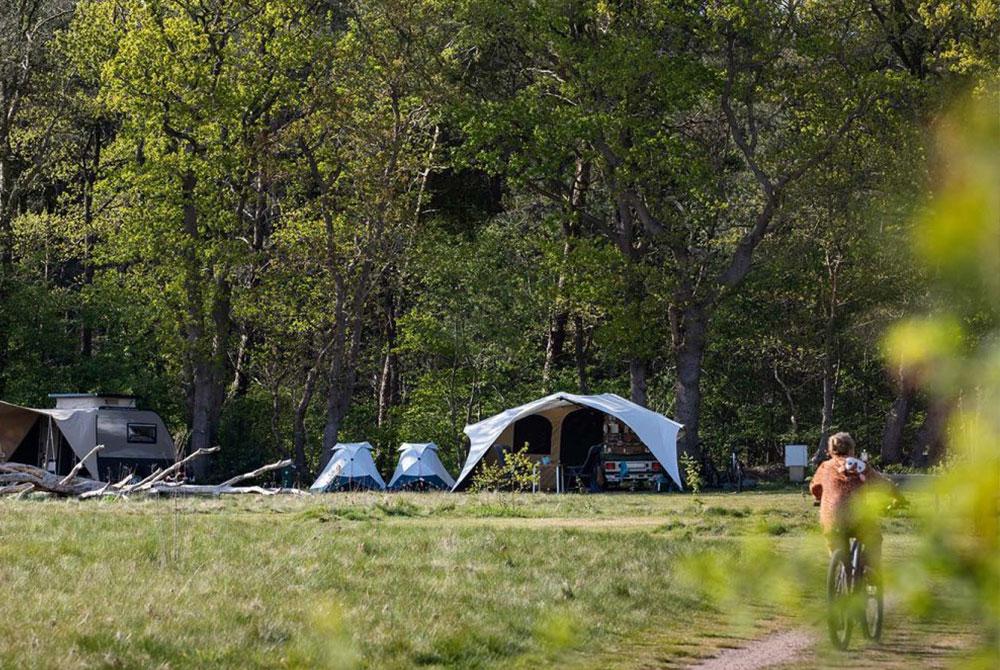 Natuurcamping de Lemeler Esch, Kindercamping Nederland