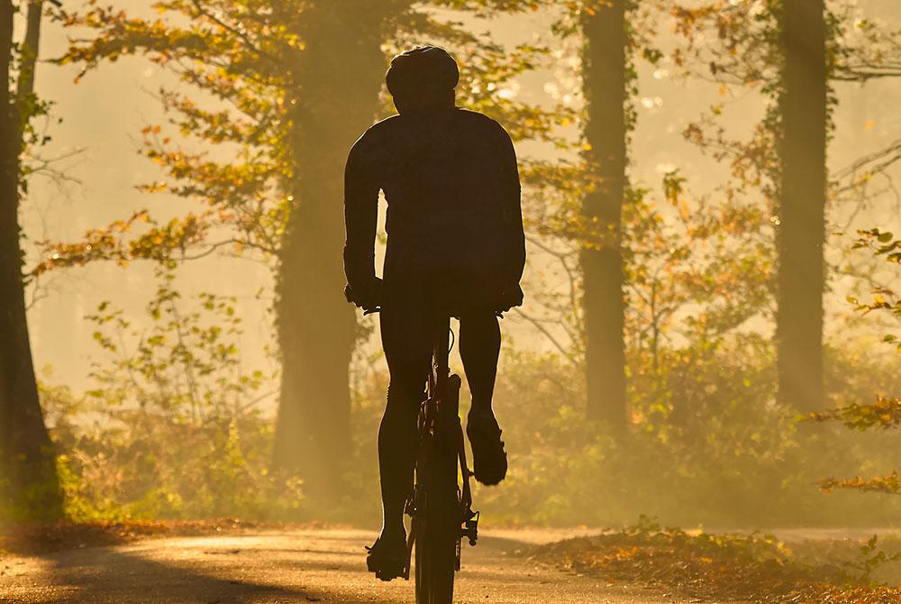 Veluwe, Landal Rabbit Hill aanbieding