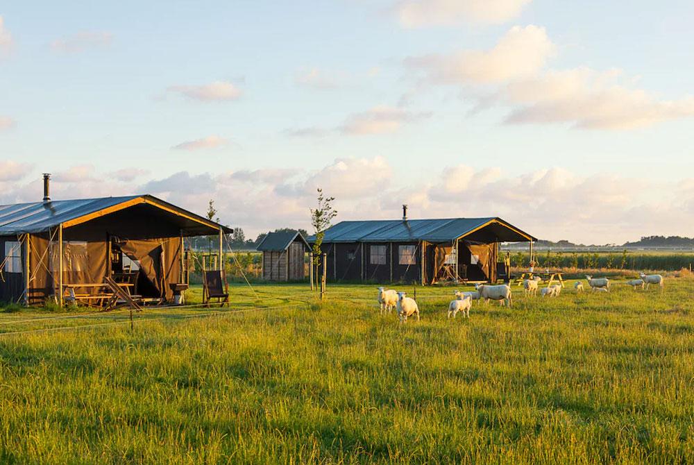 Roompot Boerderij Ameland, camping aan zee Nederland