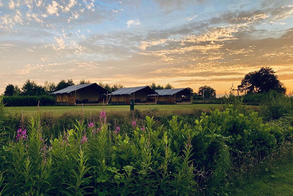 Camping Friesland aan het water