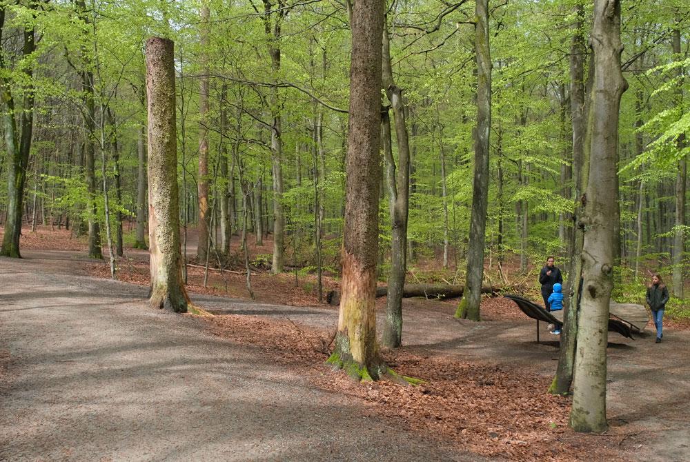 National Park Eifel, Dormio Resort Eifeler Tor