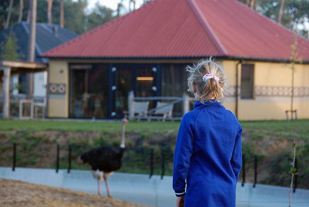 Safari Resort Beekse Bergen