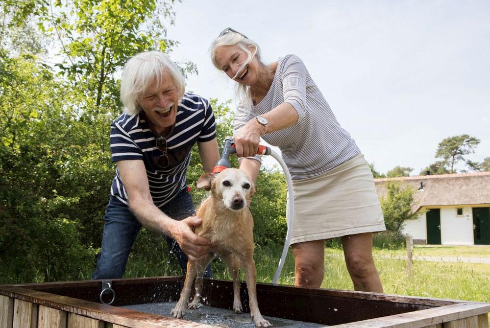 Landal Twenhaarsveld, vakantiepark met hond