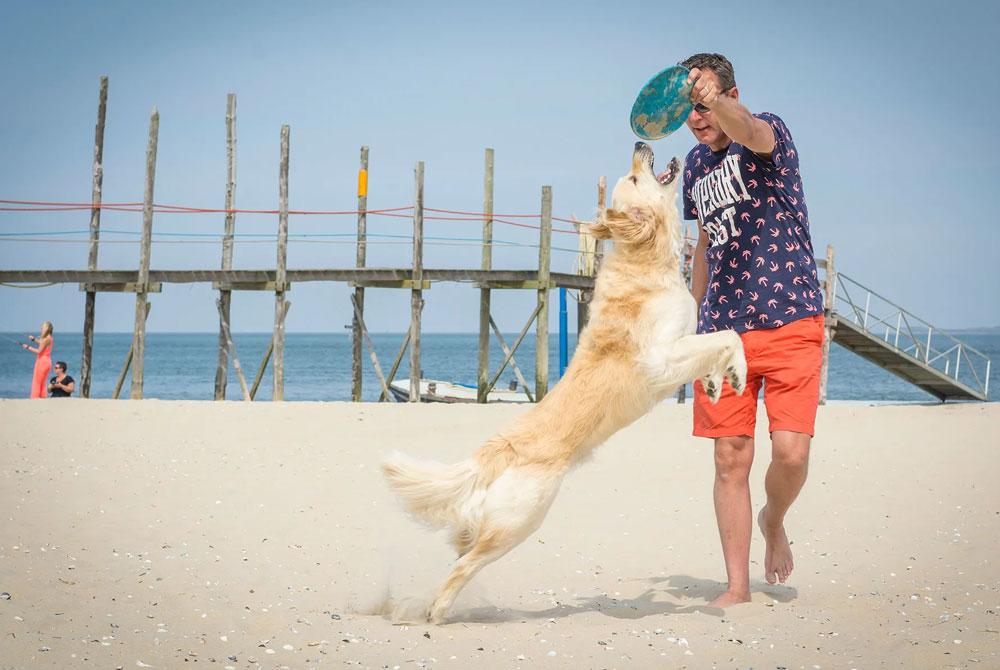 Vakantiepark De Krim met hond