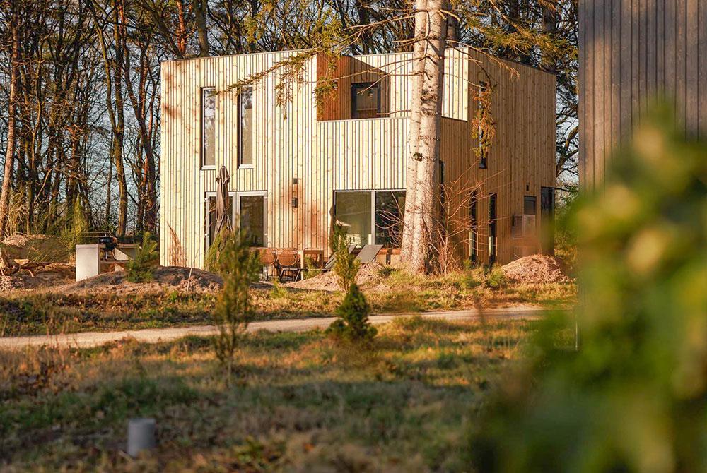 Park de Zeegser Duinen, vakantiepark met hond