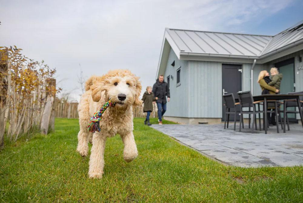 Beach Resort Nieuwvliet-Bad, vakantiepark met hond