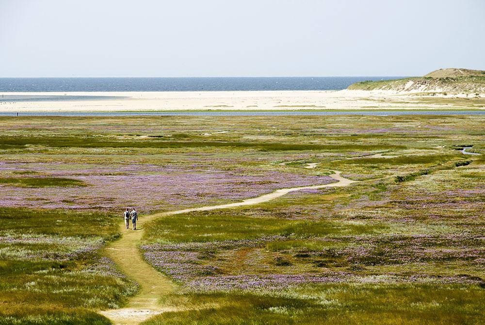 De Slufter natuurgebied