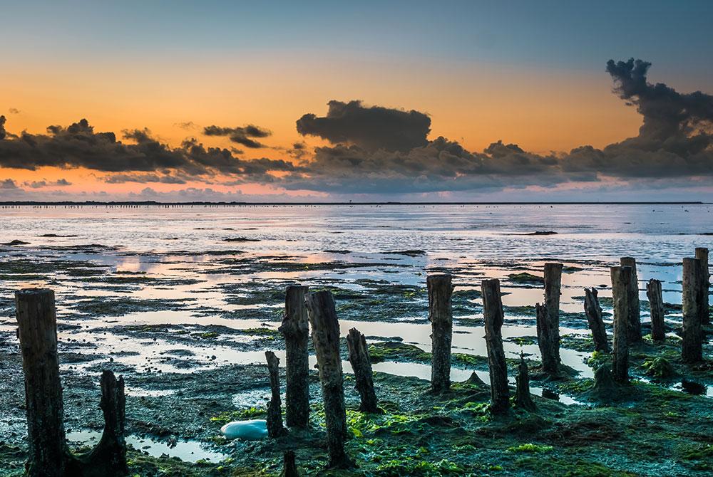 Deense Waddenzee, mooiste plekken Denemarken