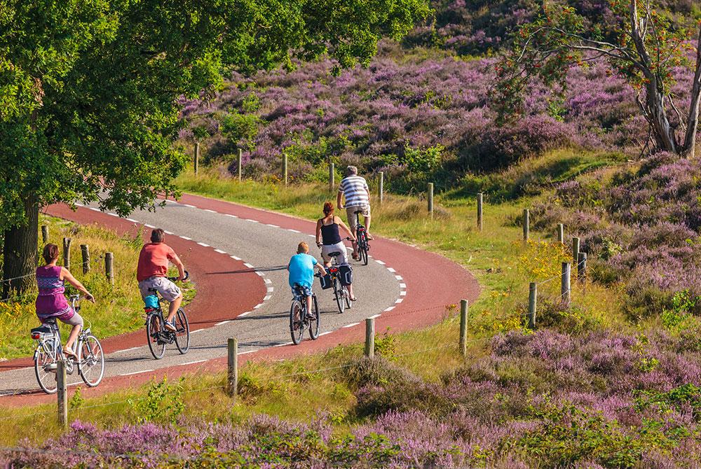Fietsen op de Veluwe
