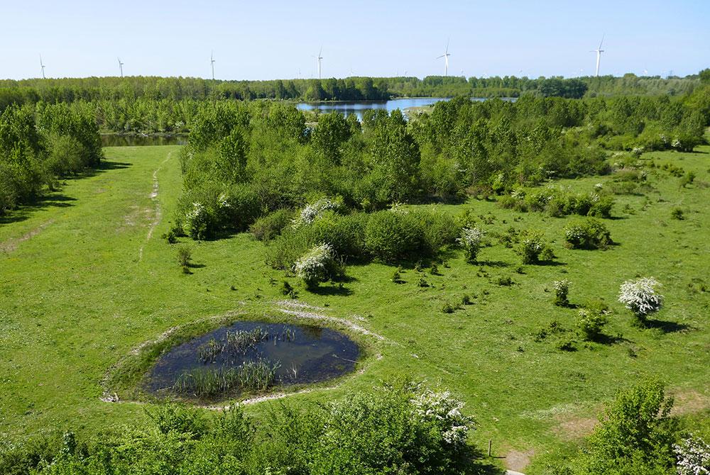 Horsterwold bij De Eemhof