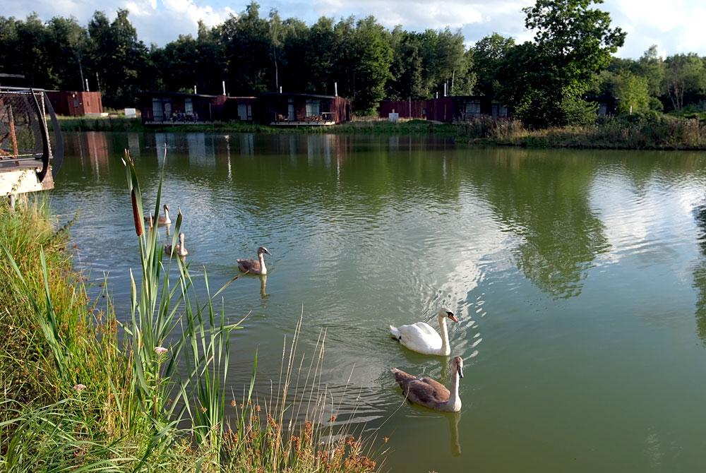 Landal Forest Resort Your Nature