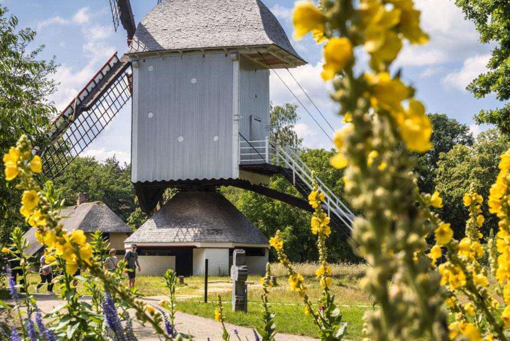 Domein Bokrijk, mooiste bezienswaardigheden Belgisch Limburg