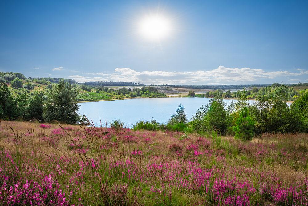 Nationaal Park Hoge Kempen, mooiste bezienswaardigheden Belgisch Limburg