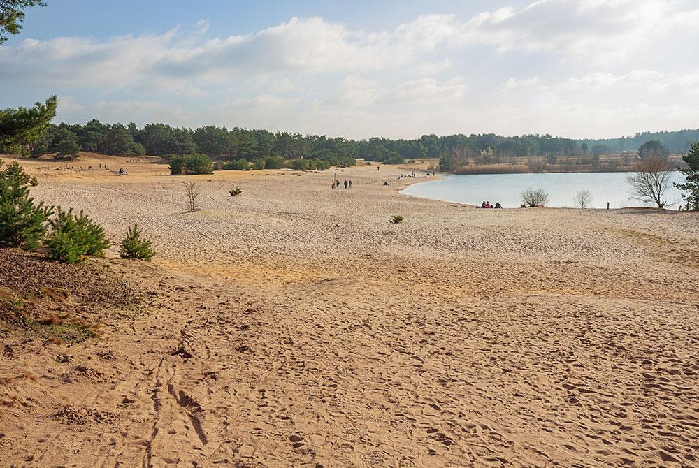 De Lommelse Sahara, mooiste bezienswaardigheden Belgisch Limburg