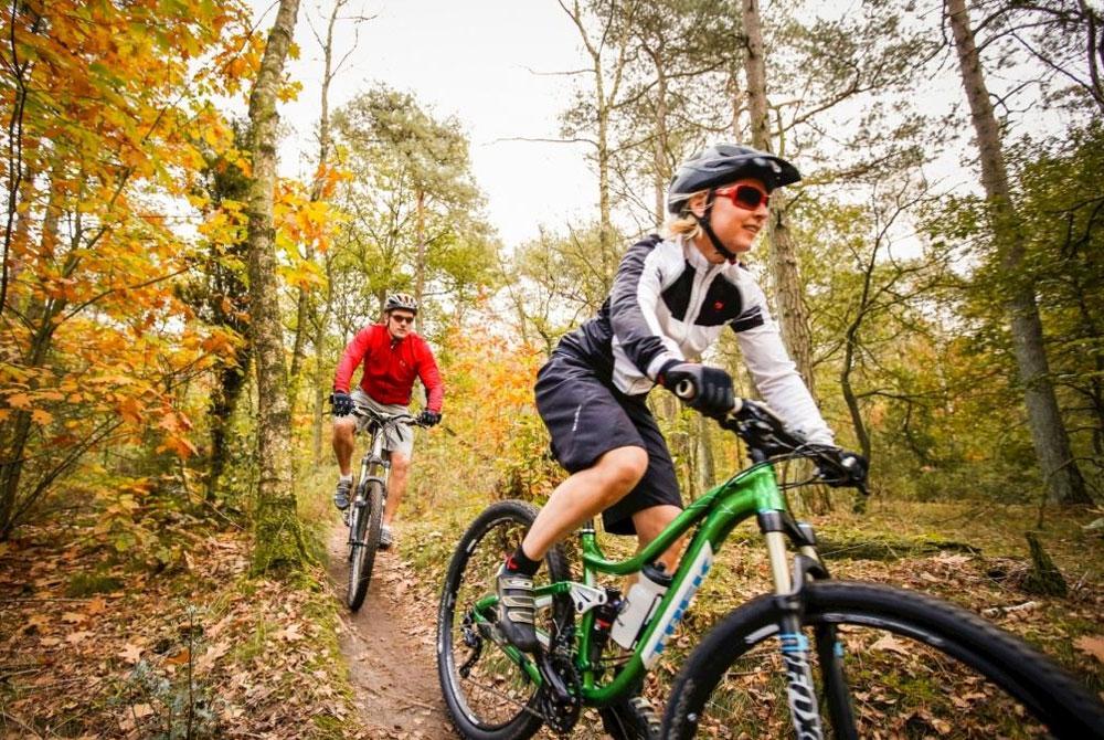 Fietsen, Landal Aelderholt aanbieding