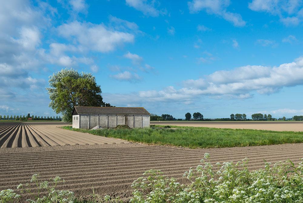 Natuur rondom Landal Sluyshaven