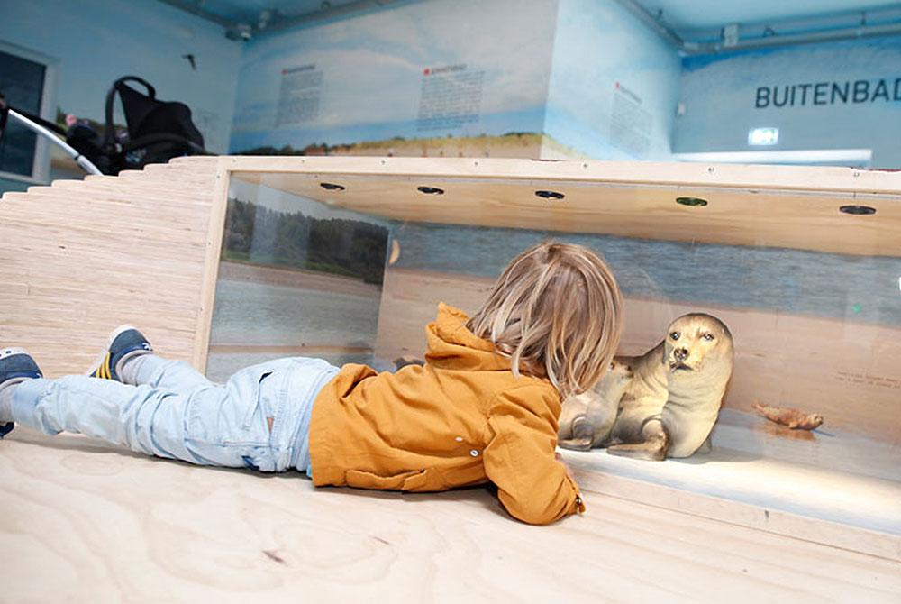 Zeehonden bij A Seal Stellendam, mooiste plekken Goeree-Overflakkee