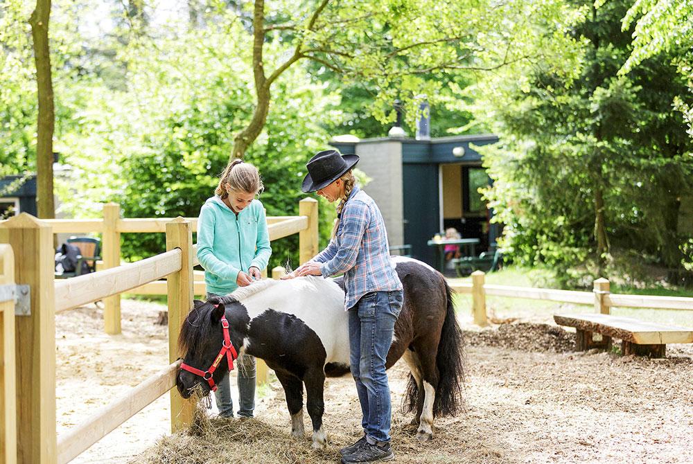 Pony cottage, bijzonder overnachten Nederland