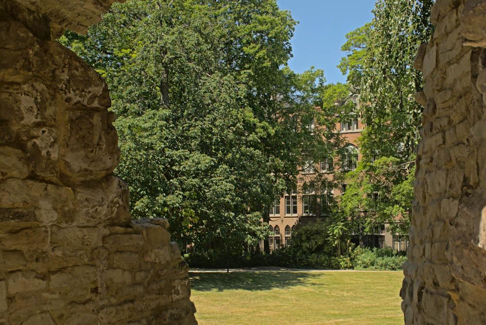 Sint-Donatus Park, Leuven
