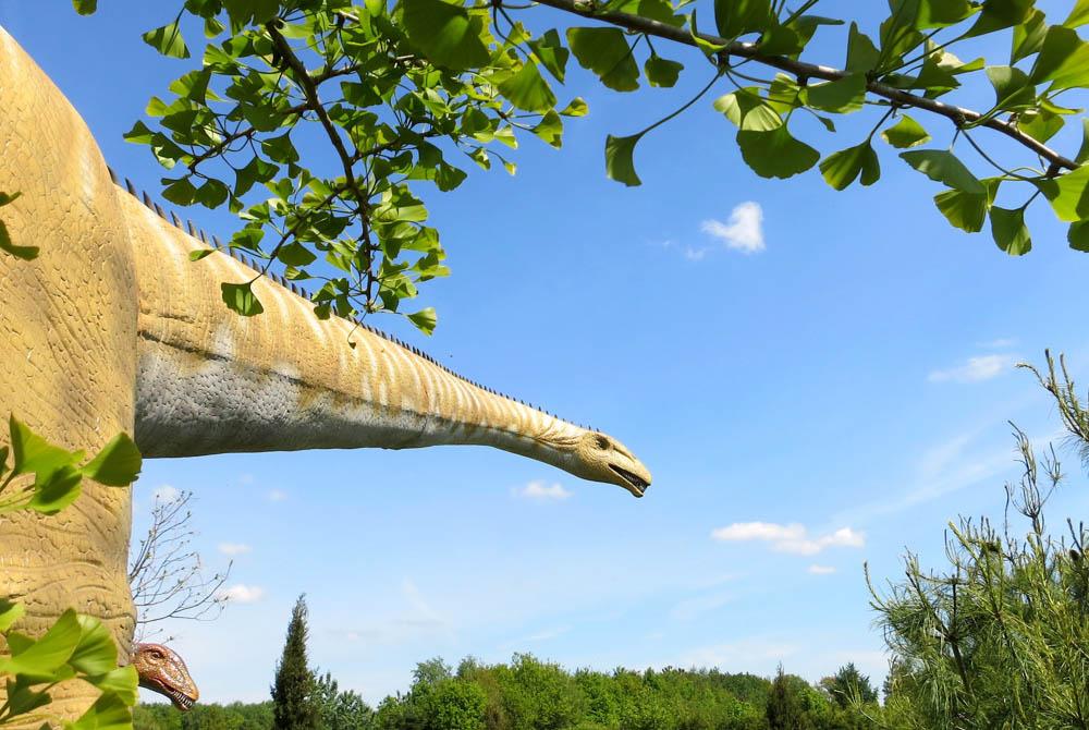  DinoPark Landgoed Tenaxx