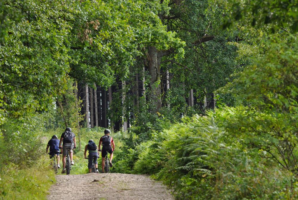 Mountainbiken Ardennen