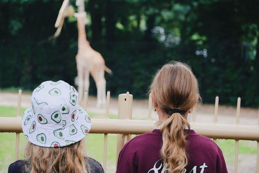 Ouwehands Dierenpark, kinderuitjes Utrecht