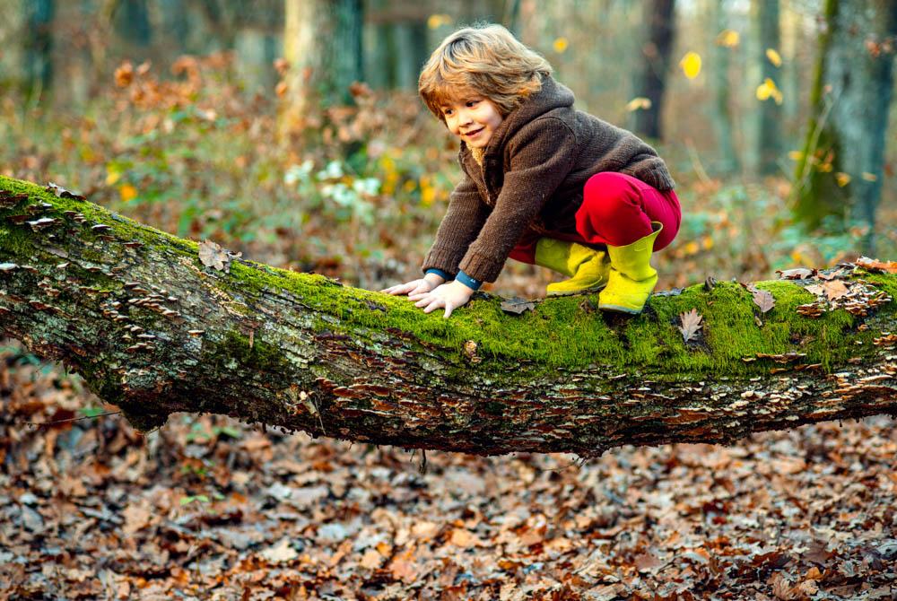 Natuurspeelpark Waterwingebied Rustenburg, kinderuitjes Utrecht