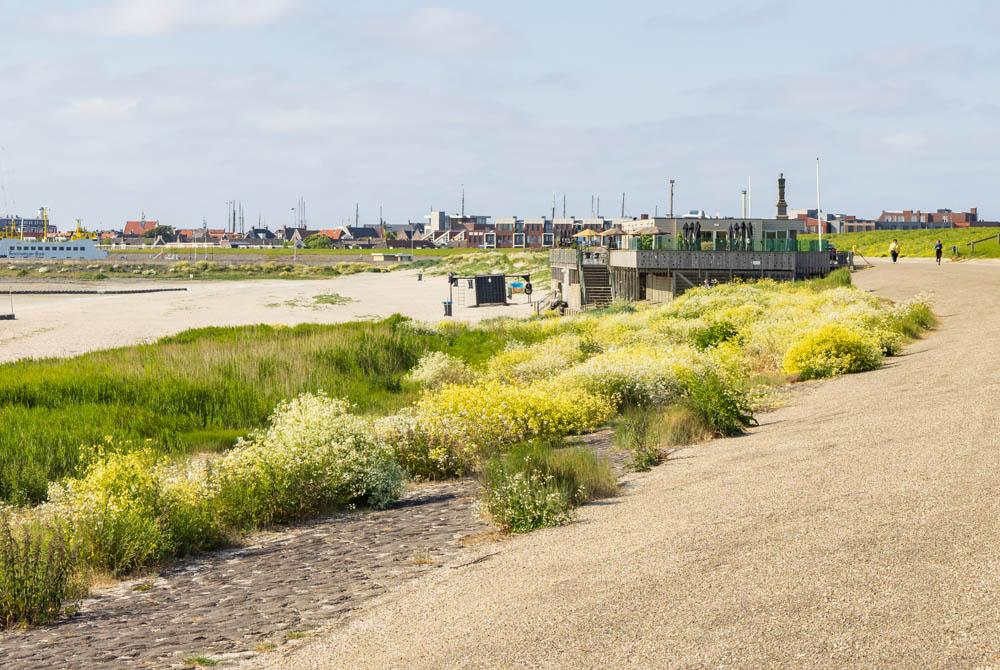 Harlingen strand