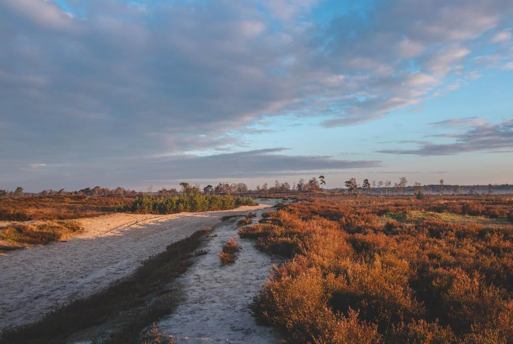 Grenspark Kalmthoutse Heide