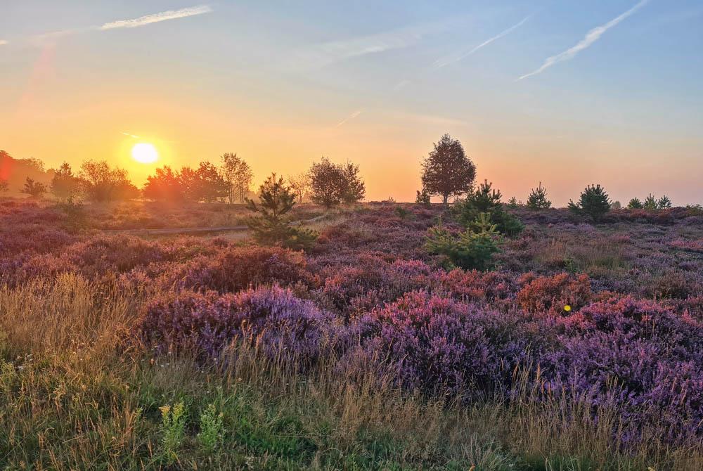Nationaal Park De Hoge Veluwe, uitjes Landal Miggelenberg