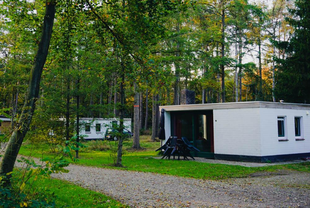 Bungalows, RCN het Grote Bos