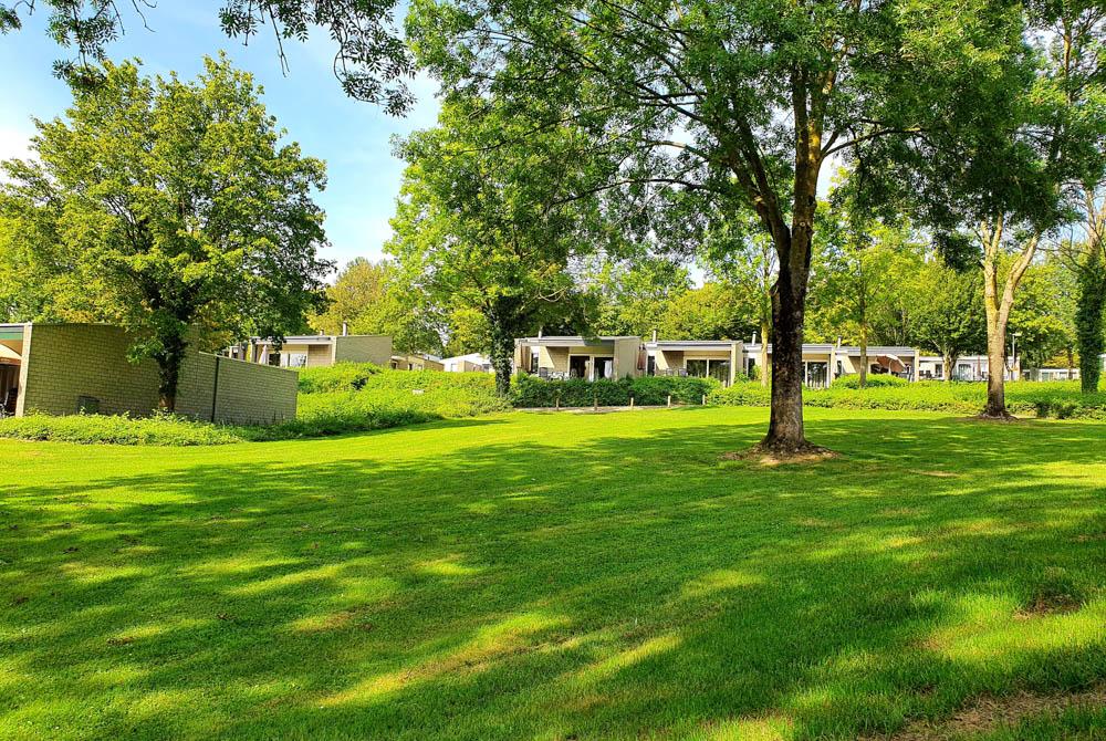 Lekker groen hier, Bungalowpark Schin op Geul review