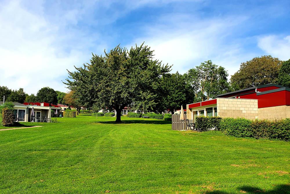 Grasveldjes tussen de bungalows, Schin op Geul