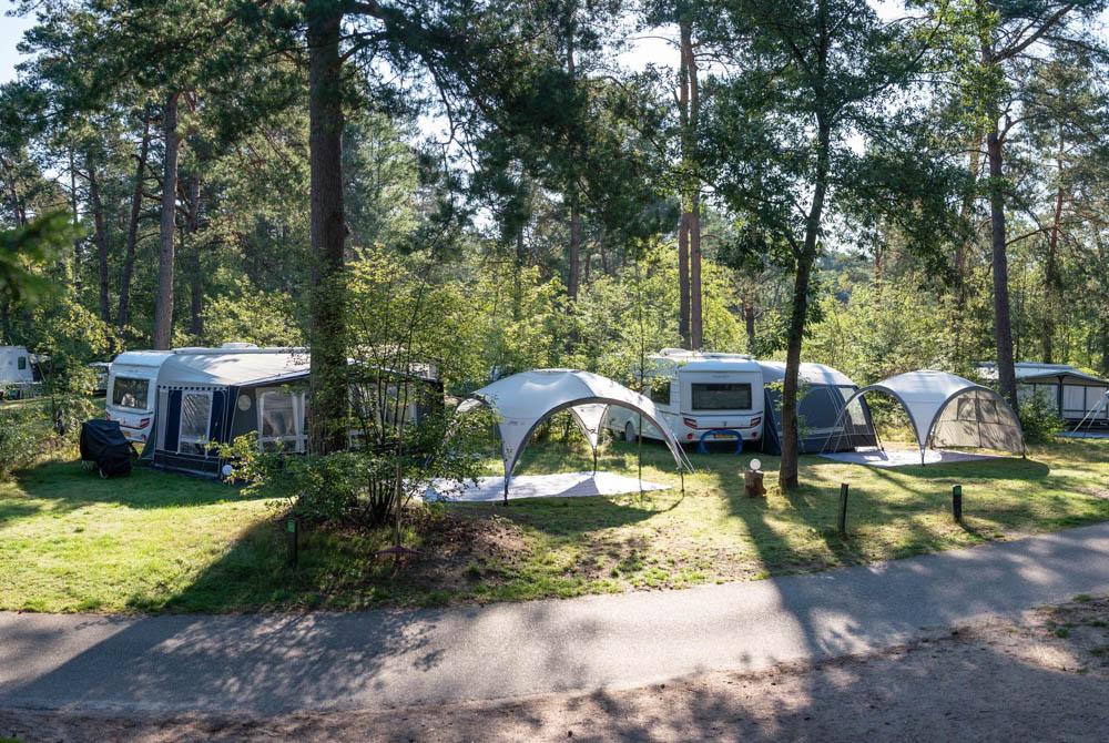 Camping Landal Coldenhove, campings Gelderland