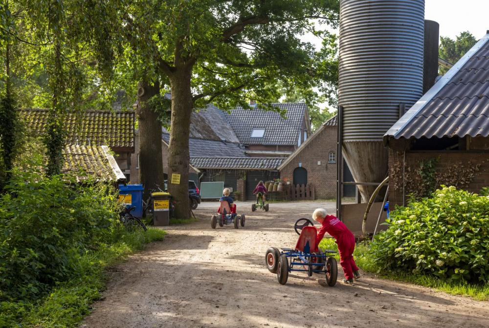 FarmCamps de Branderhorst, camping Gelderland
