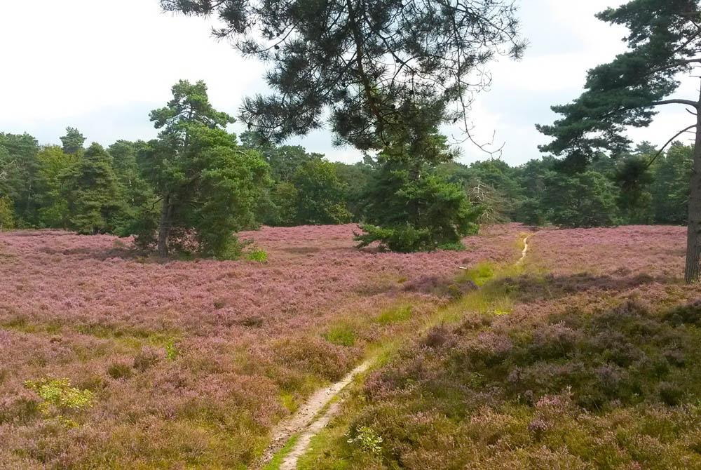 Natuur, Villapark Eureka