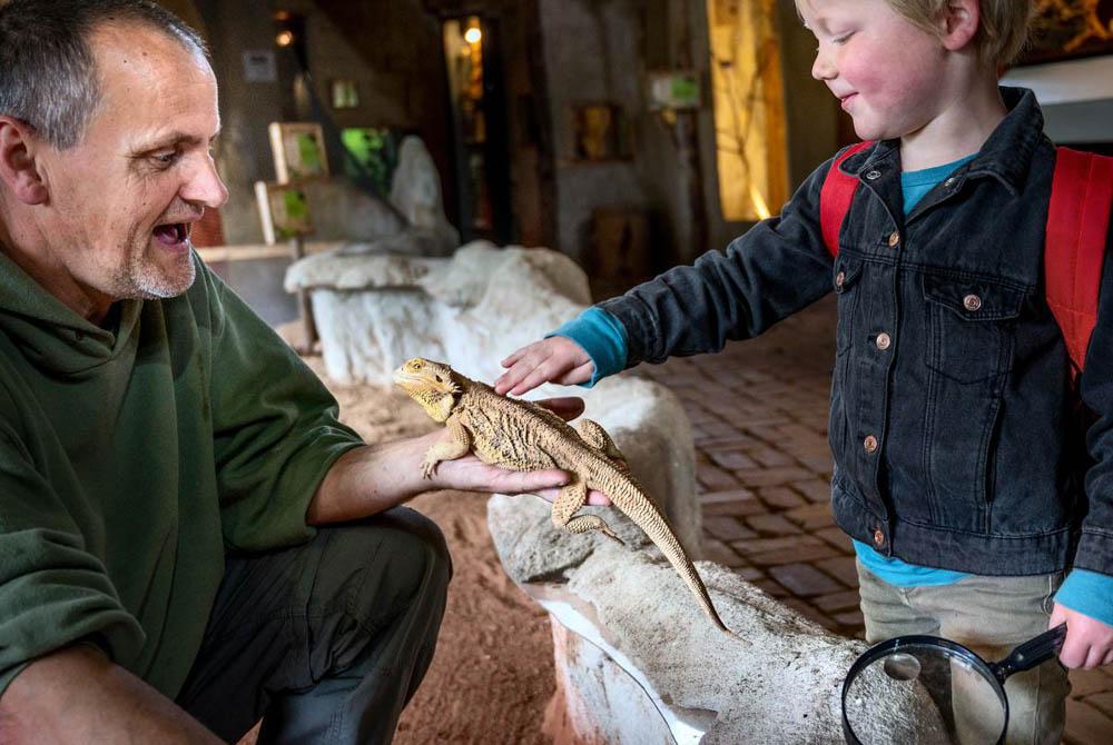 DoeZoo, kinderuitjes Groningen