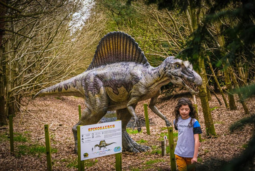 Dinopark Landgoed Tenaxx, kinderuitjes Groningen