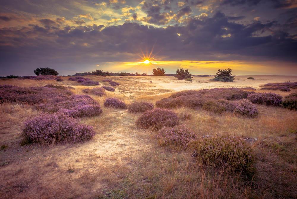 De Hoge Veluwe, Landal Waterparc Veluwemeer