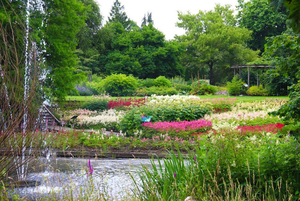 Botanische Tuinen Universiteit Utrecht, , stedentrip Utrecht