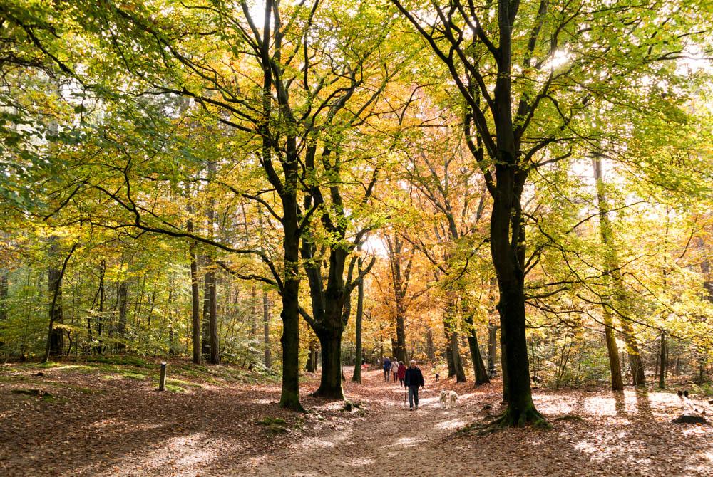 Nationaal Park Utrechtse Heuvelrug, stedentrip Utrecht