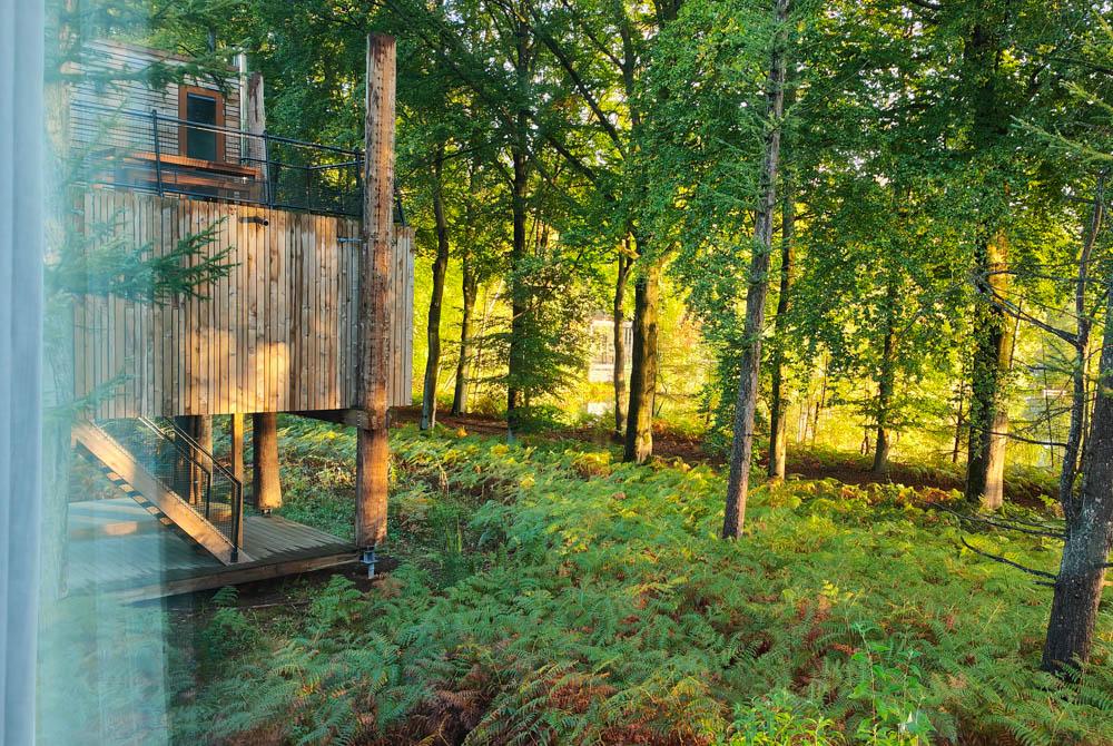 Uitzicht, review Landal Forest Resort Your Nature