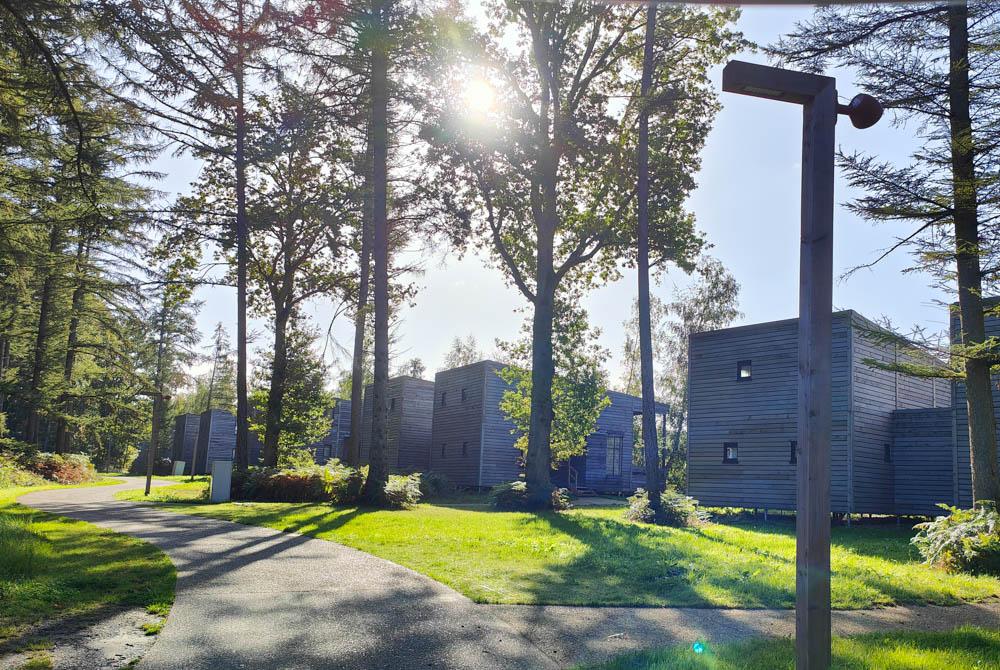 The Lake House, Landal Forest Resort Your Nature review