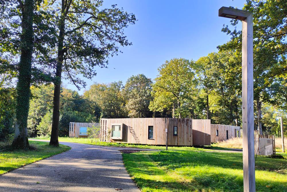 2-persoons The Blue Lodge 2B1, Landal Forest Resort Your Nature review