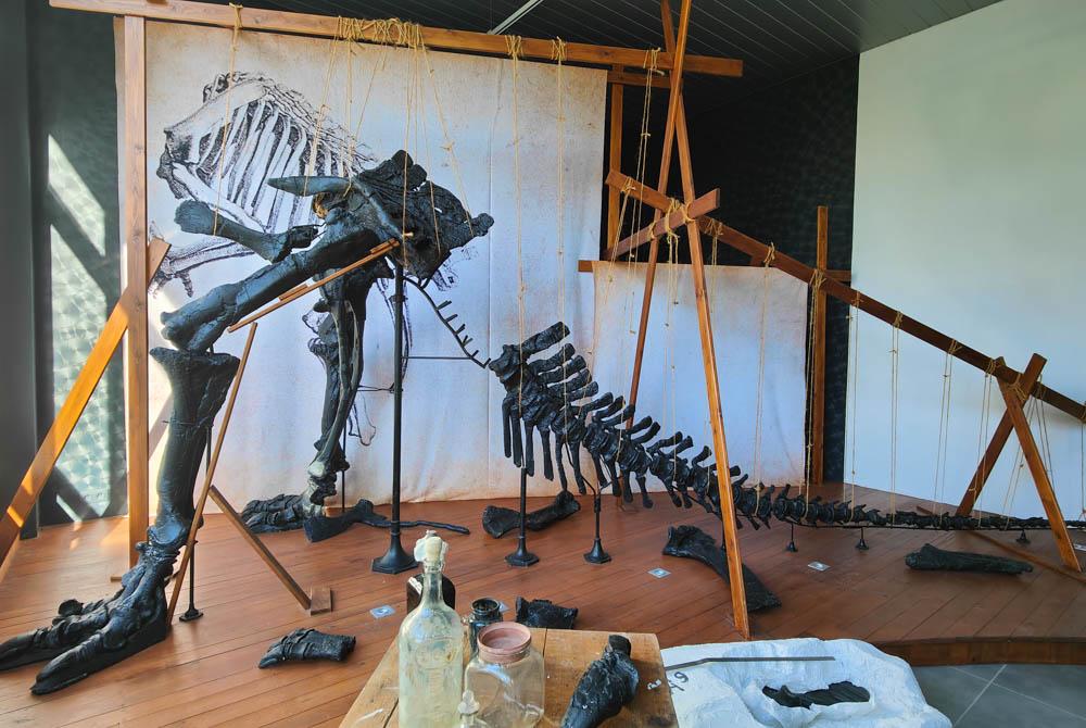 Iguanodons van Bernissart, Landal Forest Resort Your Nature review