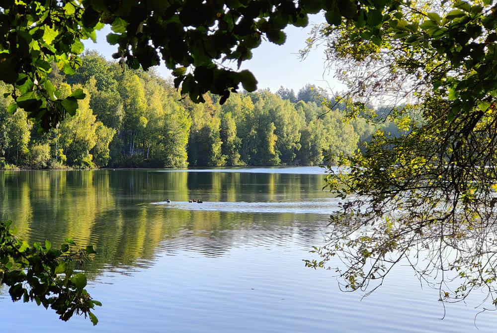 Landal Forest Resort Your Nature ervaring
