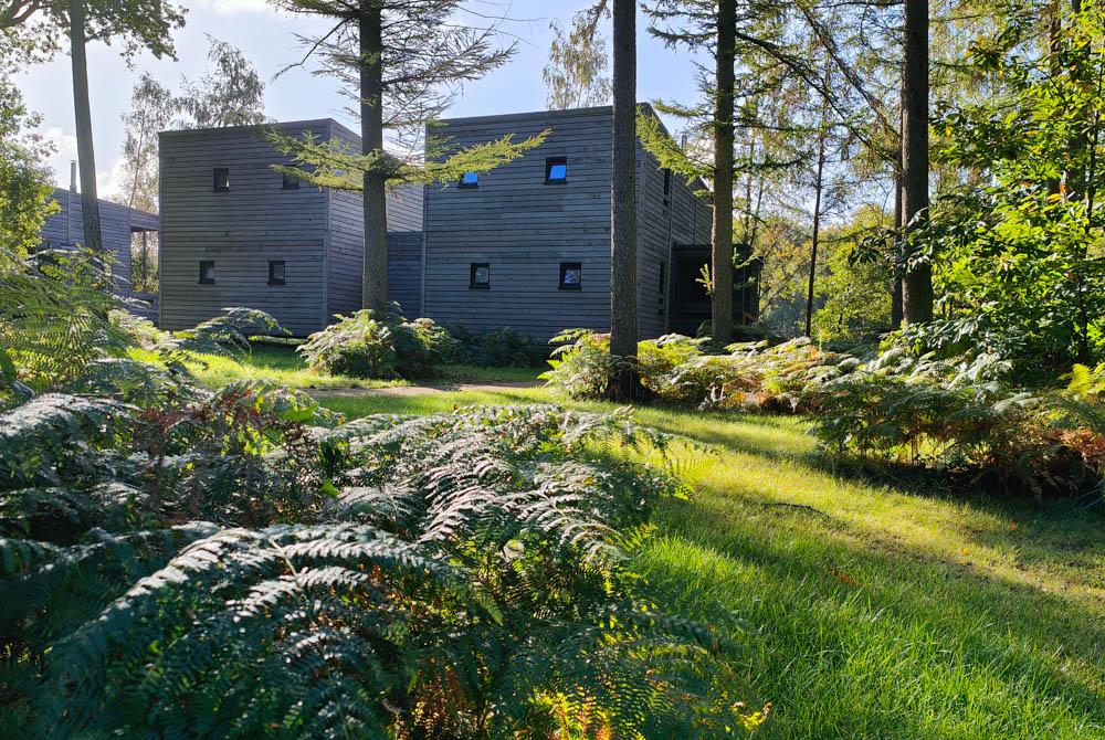 Landal Forest Resort Your Nature review