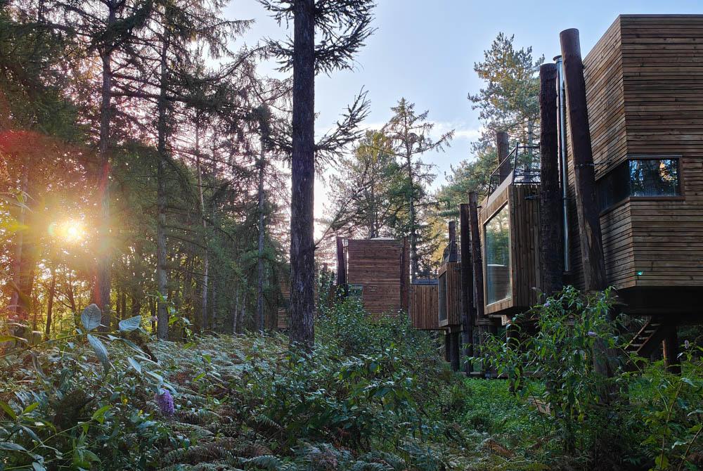 Landal Forest Resort Your Nature